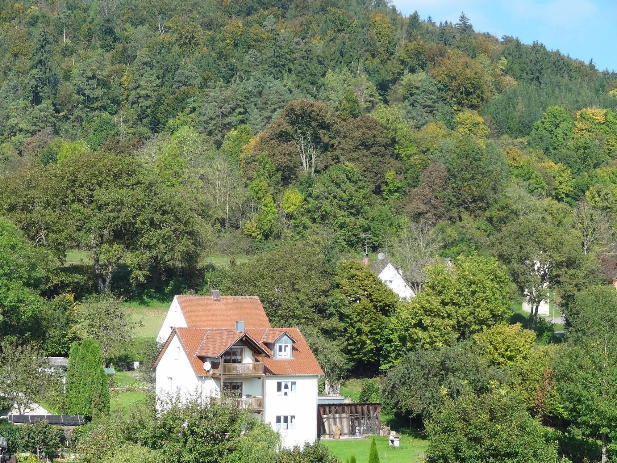 Donauer Im Altmuehltal - Ferienwohnungen Biberbach  外观 照片