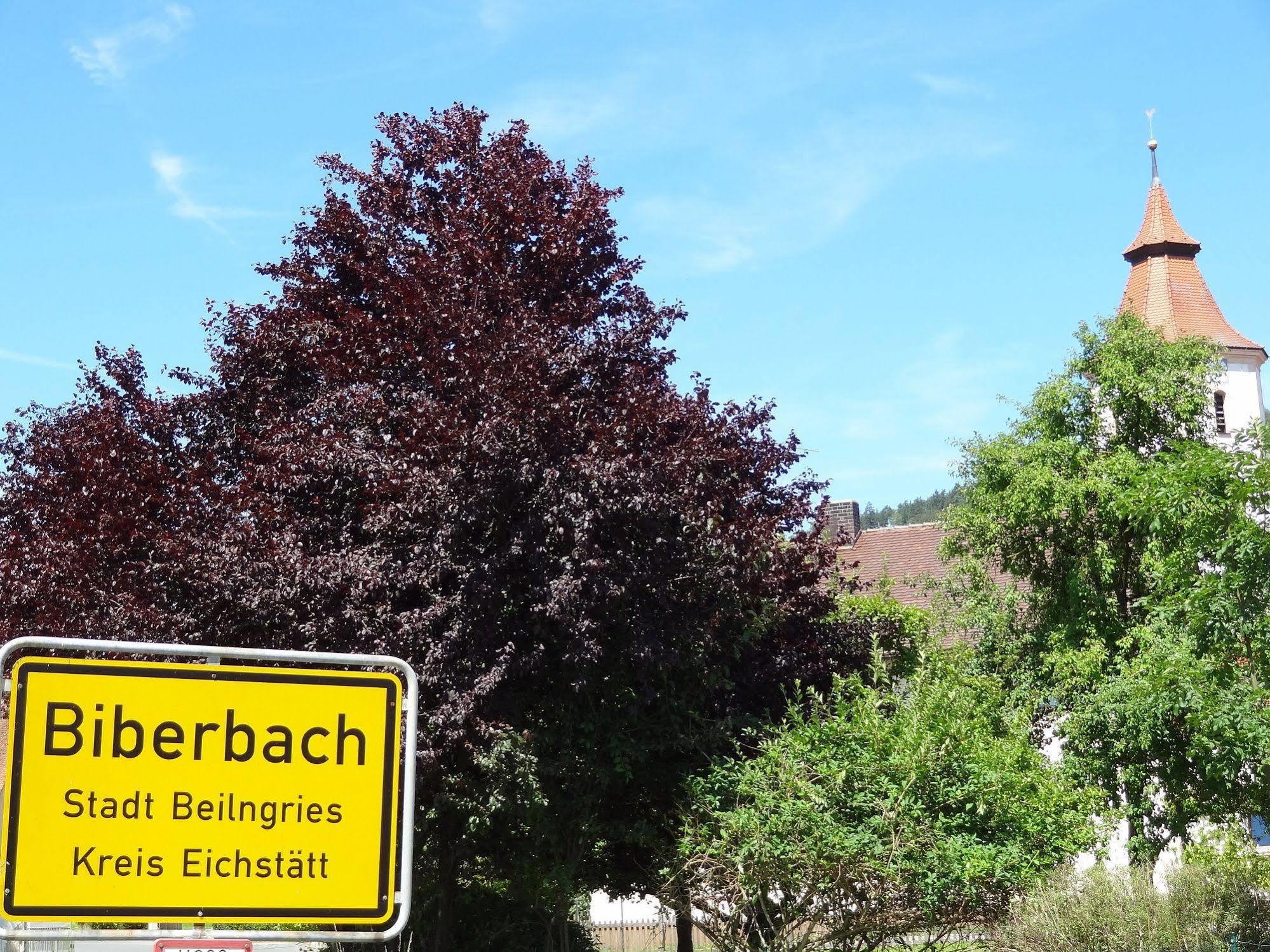 Donauer Im Altmuehltal - Ferienwohnungen Biberbach  外观 照片