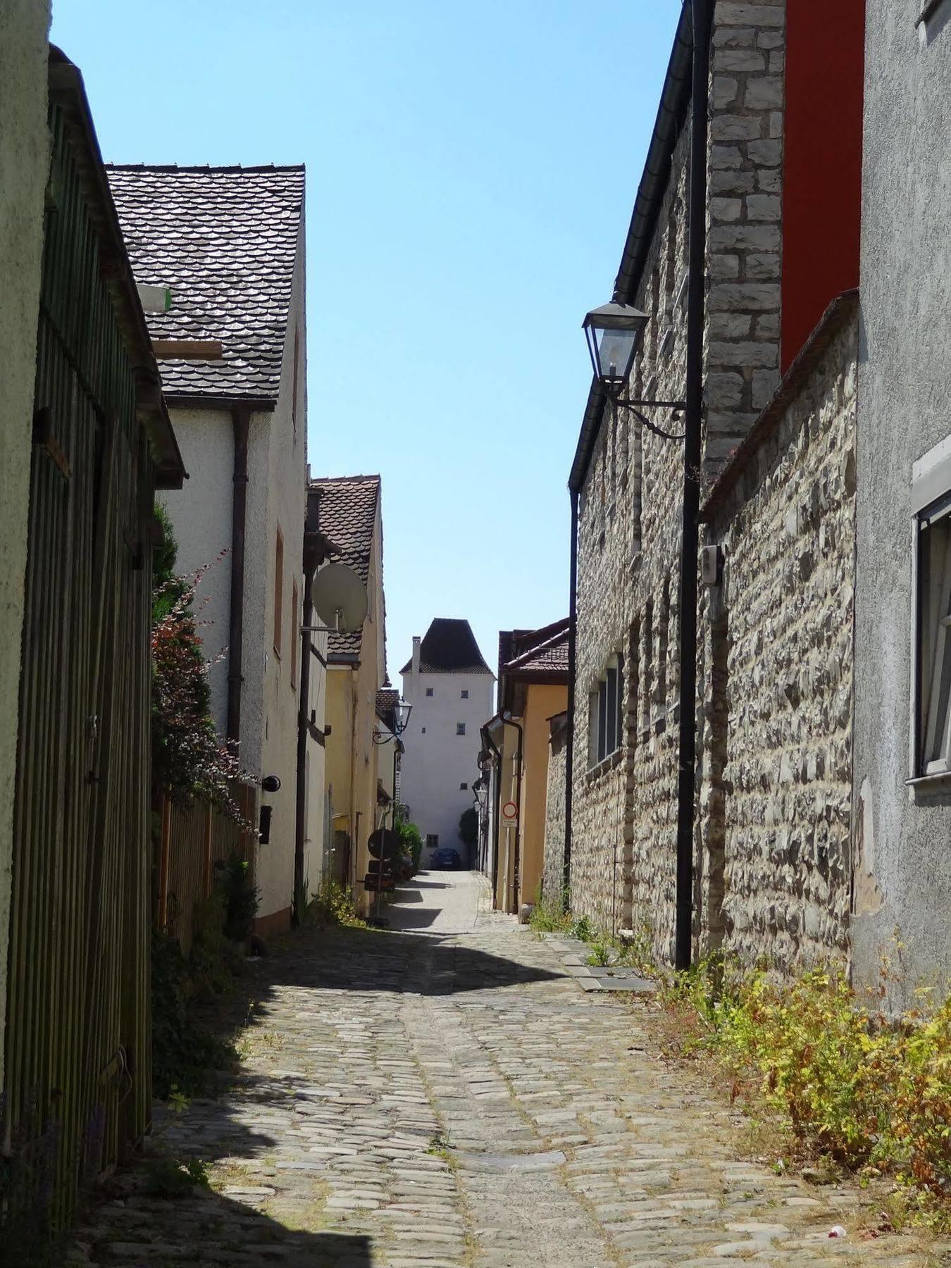 Donauer Im Altmuehltal - Ferienwohnungen Biberbach  外观 照片